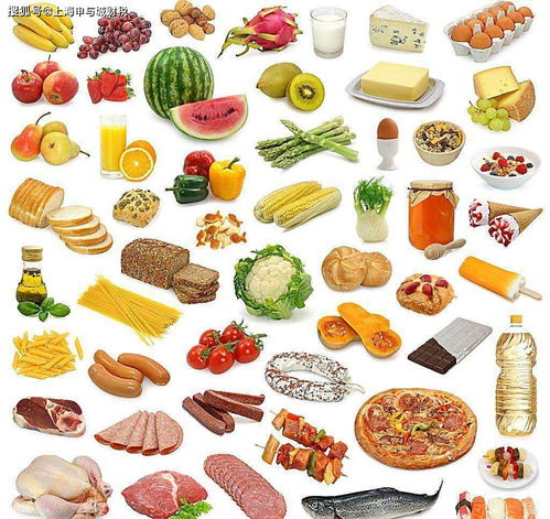 上海各区办理食品经营许可证需要什么材料,无地址怎么办