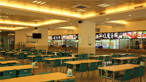 优秀普陀食堂承包餐饮管理人员保持食堂的有序性和发展性